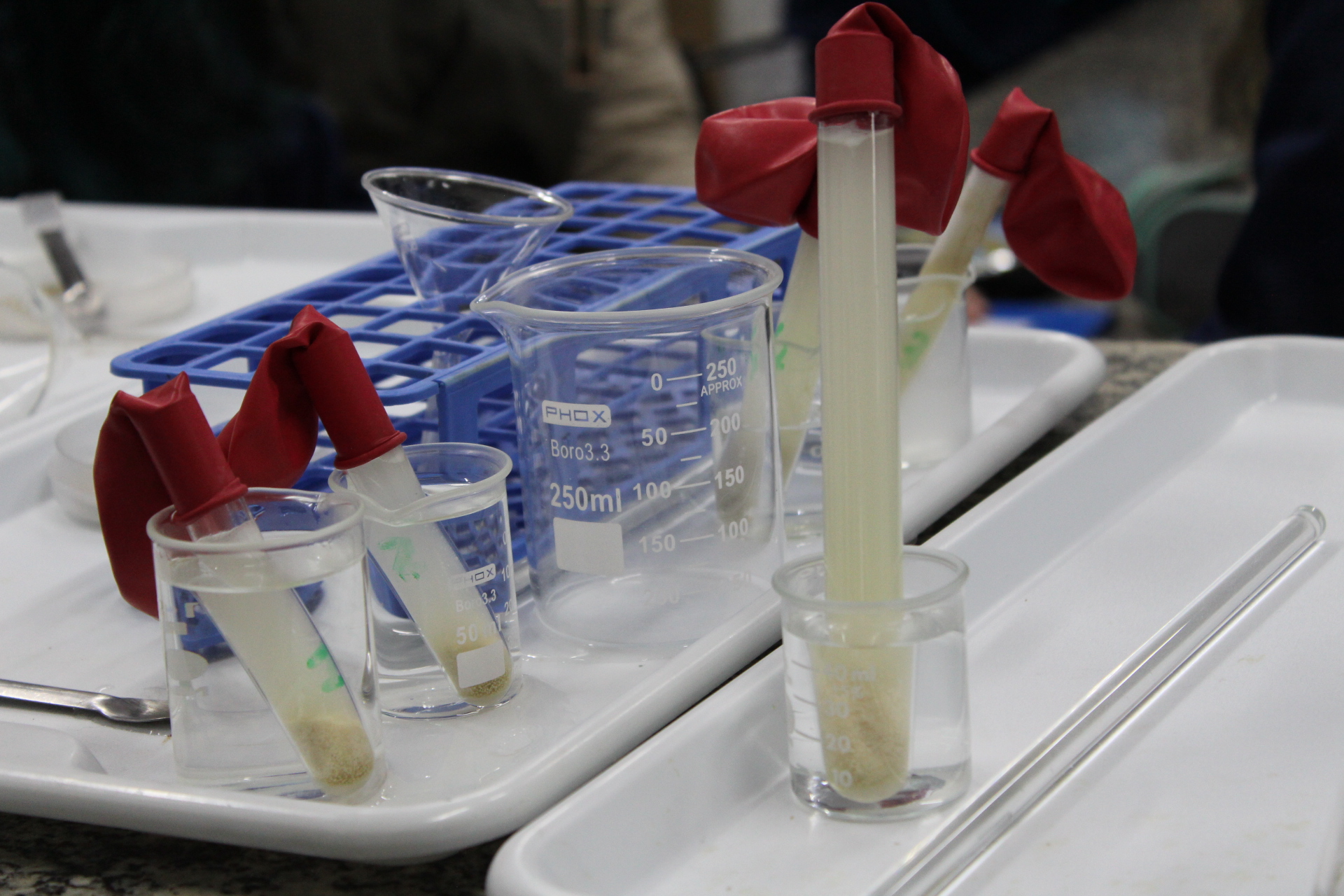 Educação Financeira